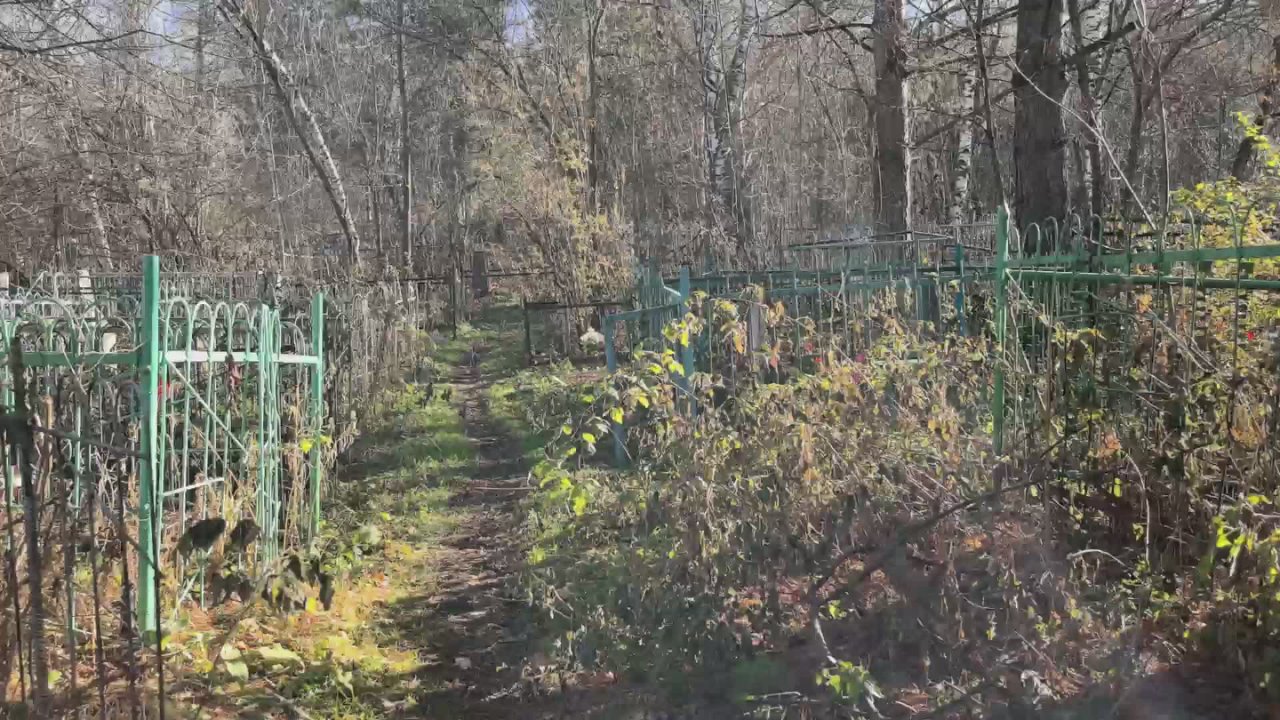 От подписчика. Городское кладбище (среднее)