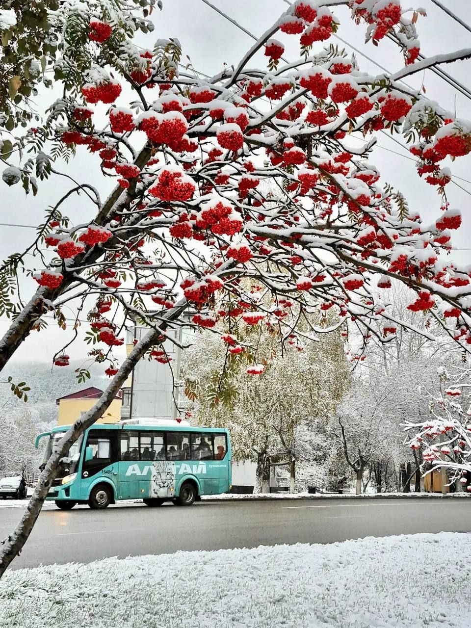 ФОТООХОТА ПРОДОЛЖАЕТСЯ. Фотоконкурс «Бирюзовый в кадре» не заканчивается, а набирает обороты! По многочисленным просьбам прием фоторабот продлевается еще на 10 дней ФОТООХОТА ПРОДОЛЖАЕТСЯ. Фотоконкурс «Бирюзовый в кадре» не заканчивается, а набирает обороты! По многочисленным просьбам прием фоторабот продлевается еще на 10 дней