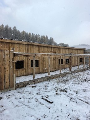 Приют временного содержания для бездомных животных открыли в селе Улаган, в урочище Кара-Кайа
