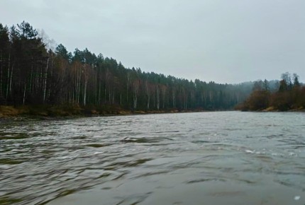 Утро на Бии. Когда самый крепкий напиток — это свежий воздух, а лучший будильник — солнечный луч, пробивающийся сквозь туман