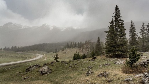 #поэтическоеутро. *** Вы же знаете, давно замечено: