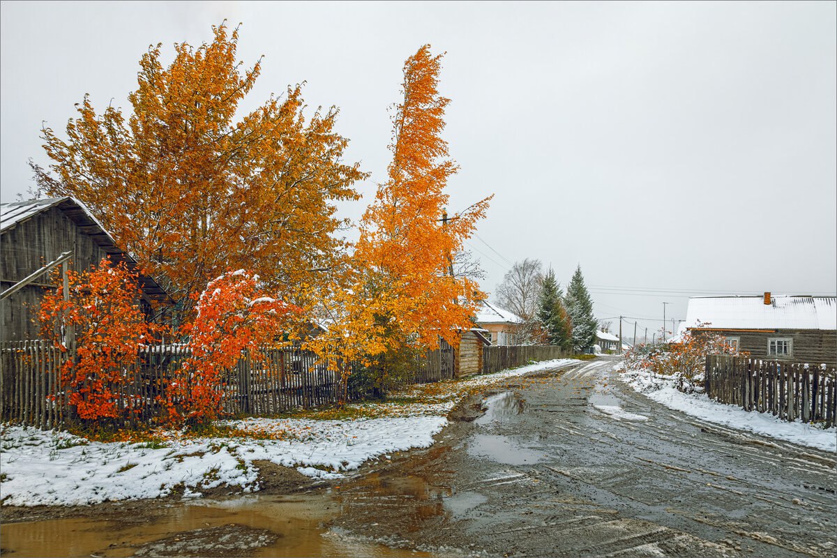 Hapoдныe пpимeты нa 29 oктябpя — Лoнгин Coтник