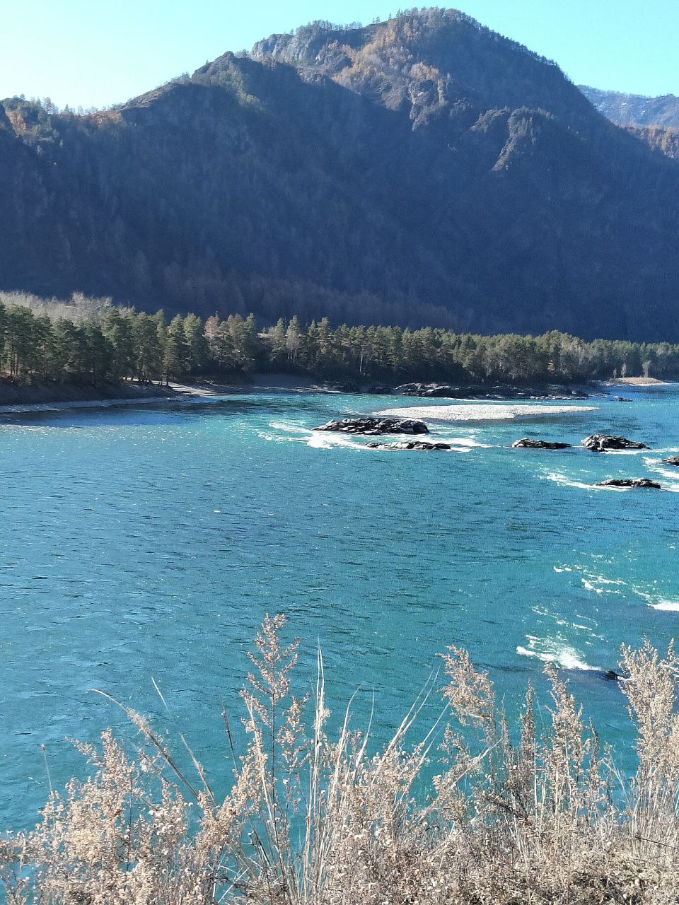 Красавица Катунь От подписчика Красавица Катунь От подписчика