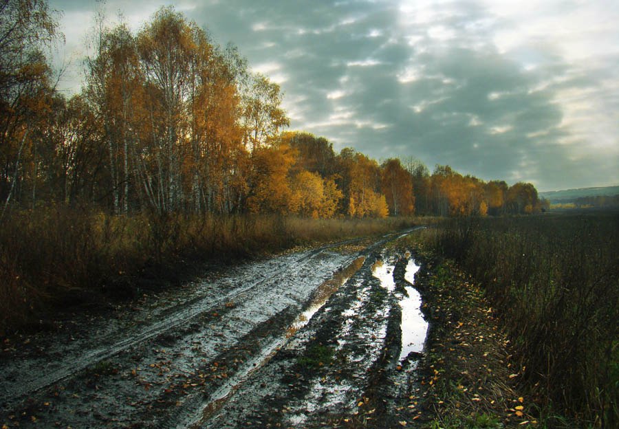 Hapoдныe пpимeты нa З1 oктябpя — Лукoв дeнь