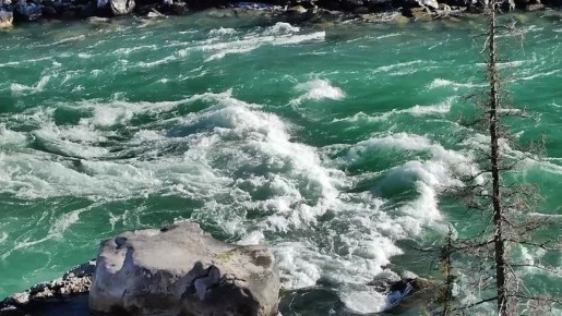 Доброе утро, Алтай. Фото: Петр Опёнышев