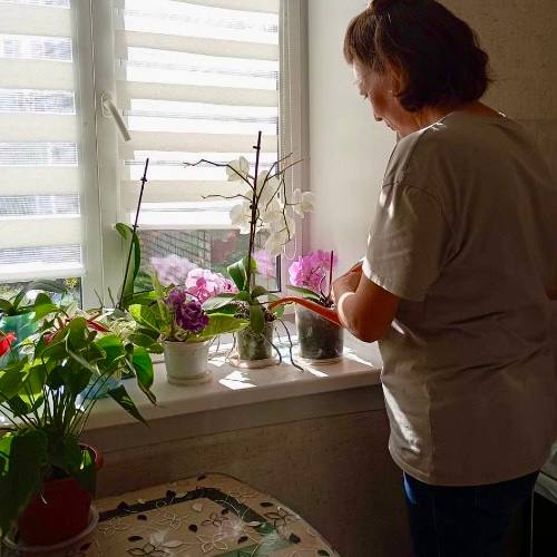 Социальные работники Горно-Алтайска провели акцию «Твори добро» Социальные работники Горно-Алтайска провели акцию «Твори добро»