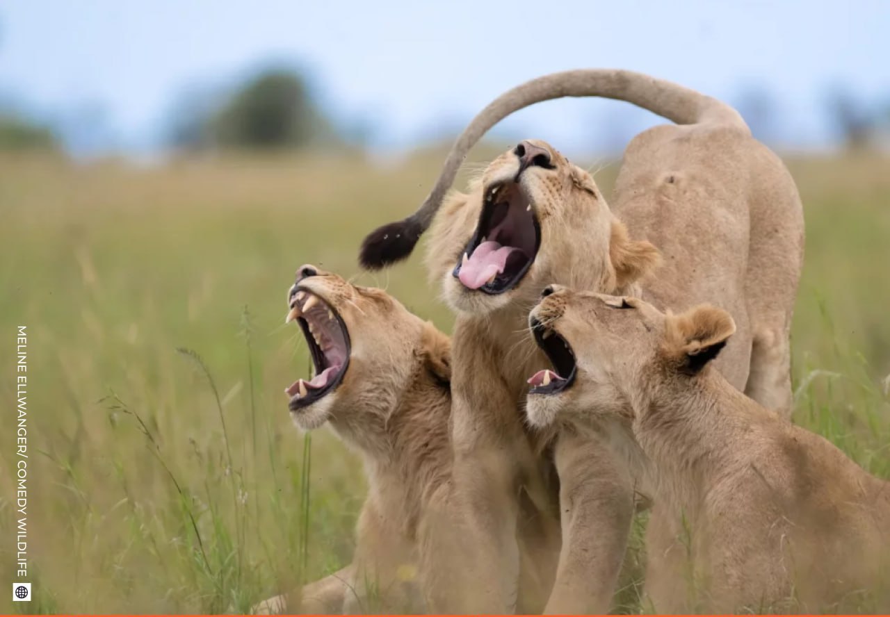 Даже в рабочую субботу найдется место для улыбки! Даже в рабочую субботу найдется место для улыбки!