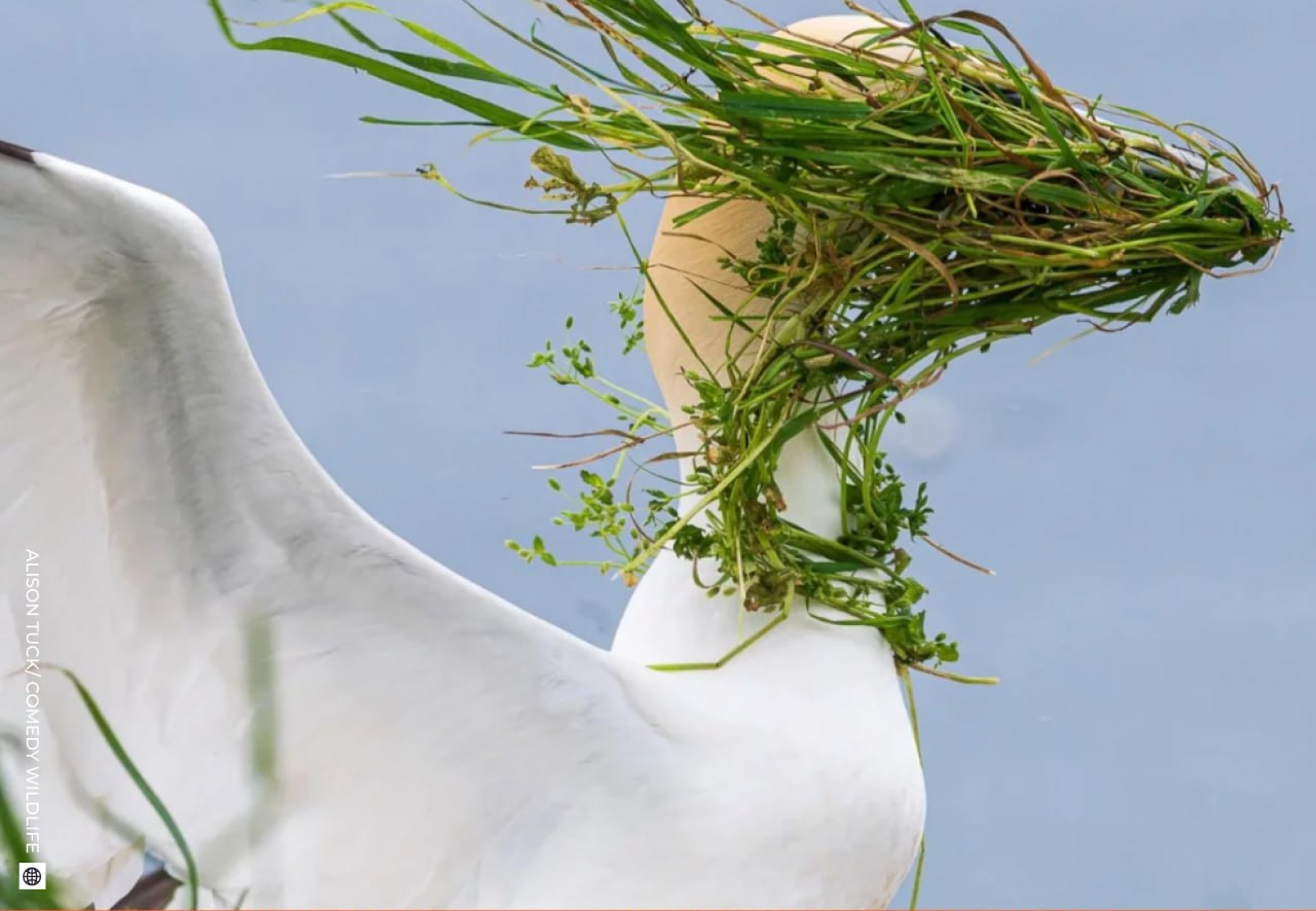 Даже в рабочую субботу найдется место для улыбки! Даже в рабочую субботу найдется место для улыбки!