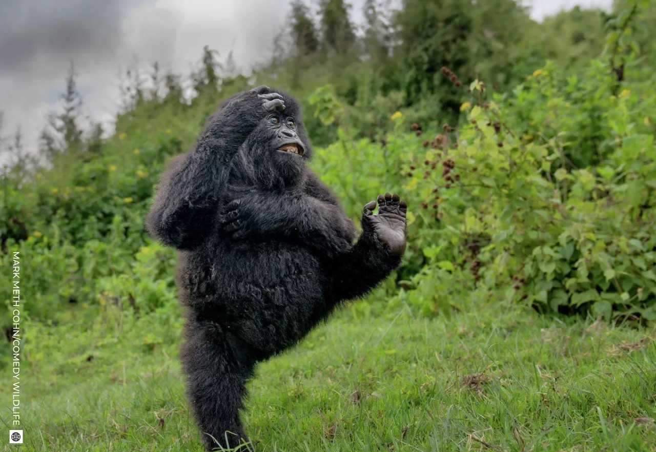 Даже в рабочую субботу найдется место для улыбки! Даже в рабочую субботу найдется место для улыбки!