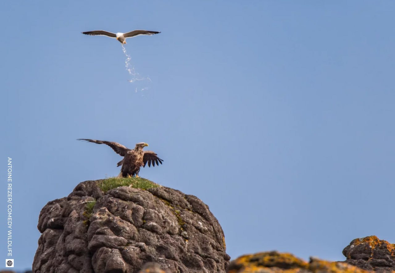 Даже в рабочую субботу найдется место для улыбки! Даже в рабочую субботу найдется место для улыбки!