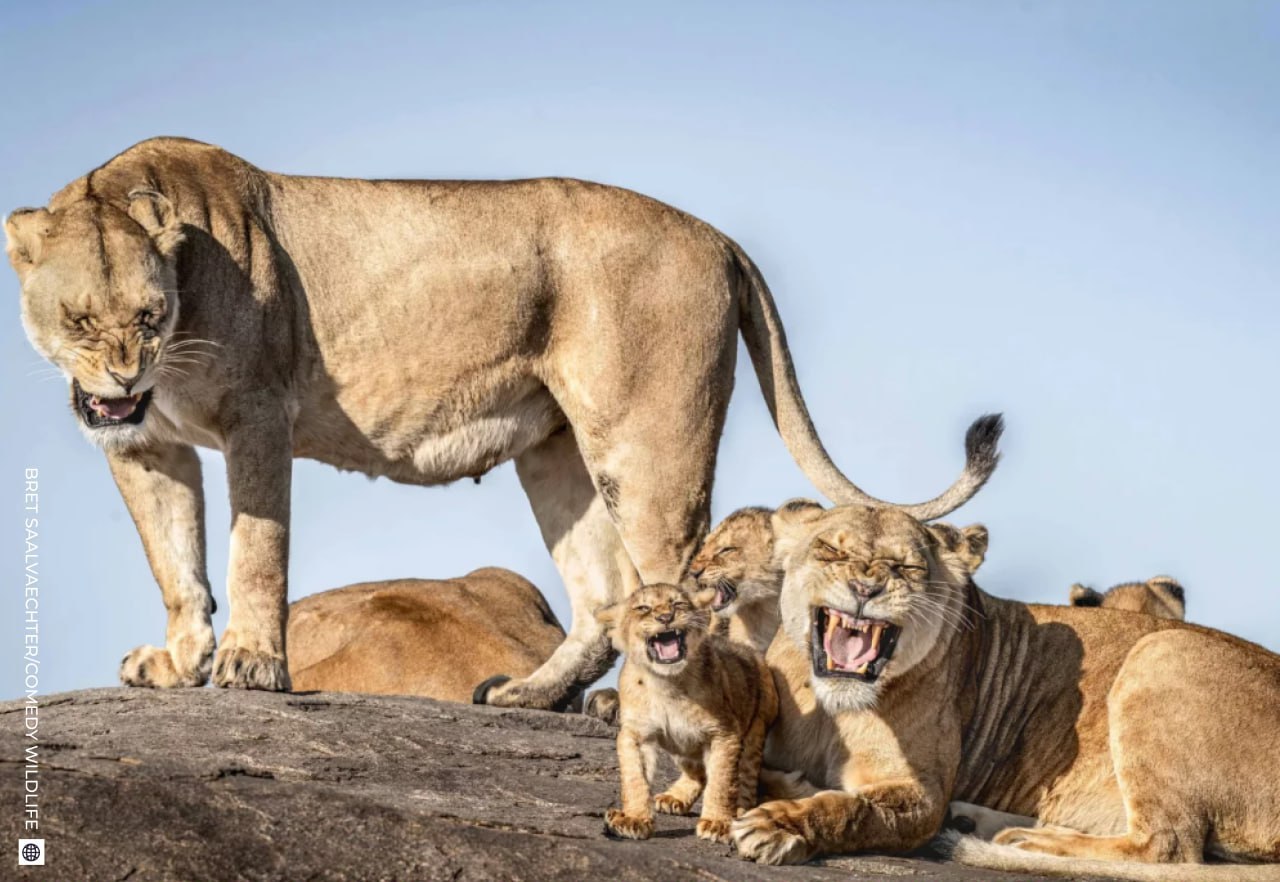 Даже в рабочую субботу найдется место для улыбки!