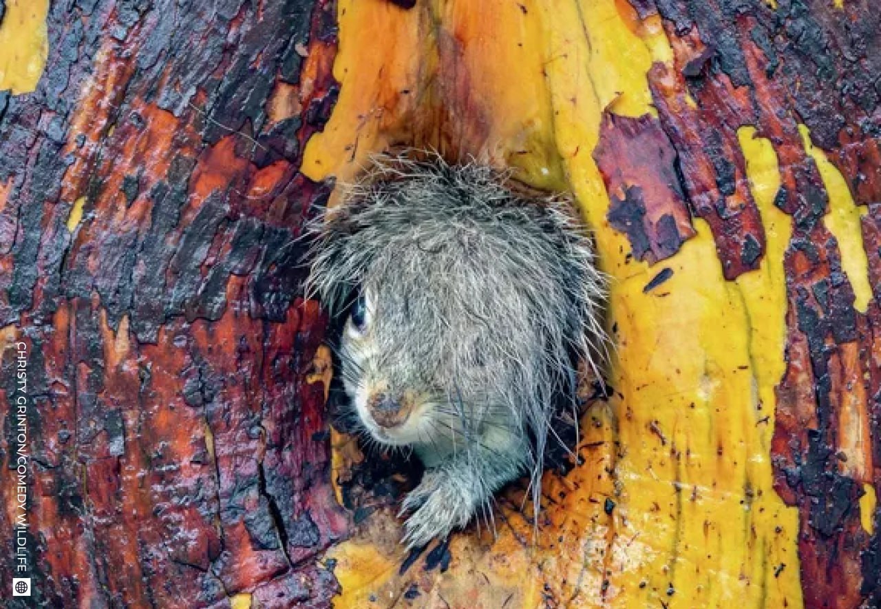 Даже в рабочую субботу найдется место для улыбки! Даже в рабочую субботу найдется место для улыбки!