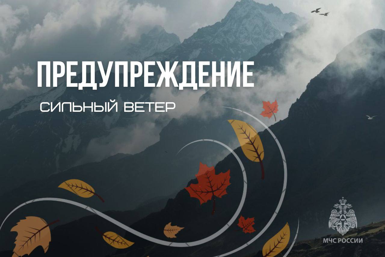 Предупреждение. По данным синоптиков, во второй половине дня 1 ноября с сохранением на сутки 2 ноября по территории Республики Алтай ожидается усиление ветра до 12-17 м/с, местами порывы до 25 м/с, в горах до 35 м/с