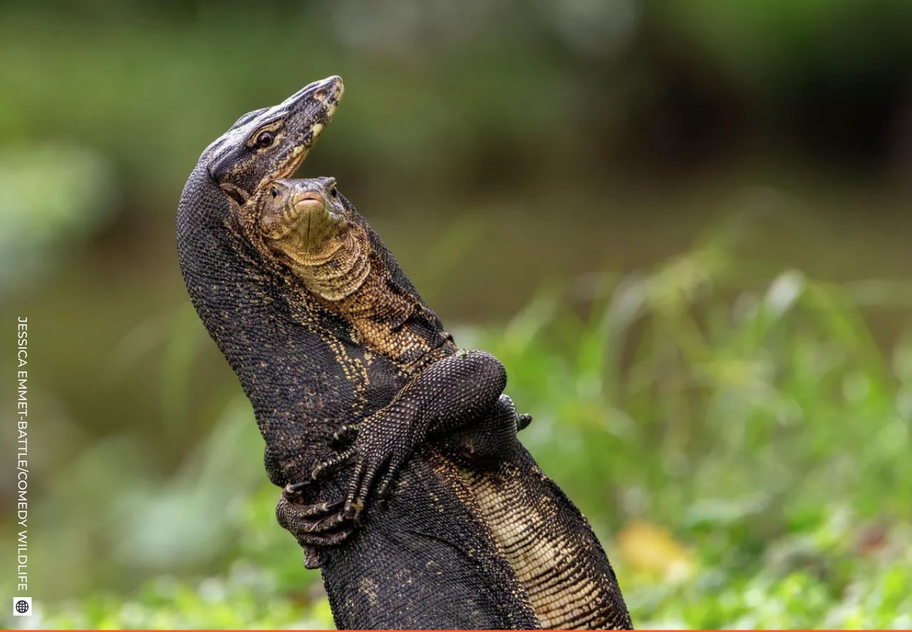 Даже в рабочую субботу найдется место для улыбки! Даже в рабочую субботу найдется место для улыбки!