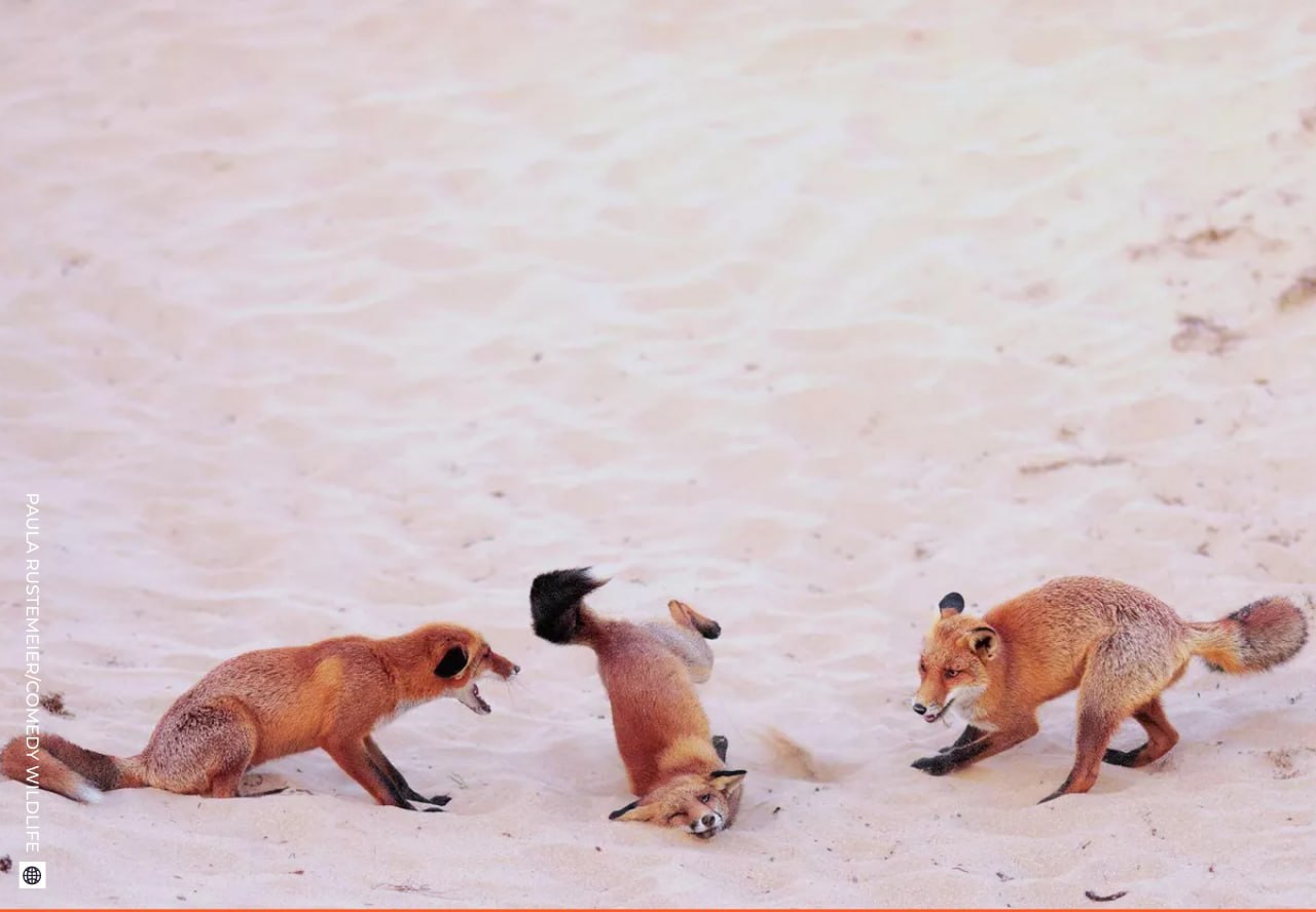 Даже в рабочую субботу найдется место для улыбки! Даже в рабочую субботу найдется место для улыбки!