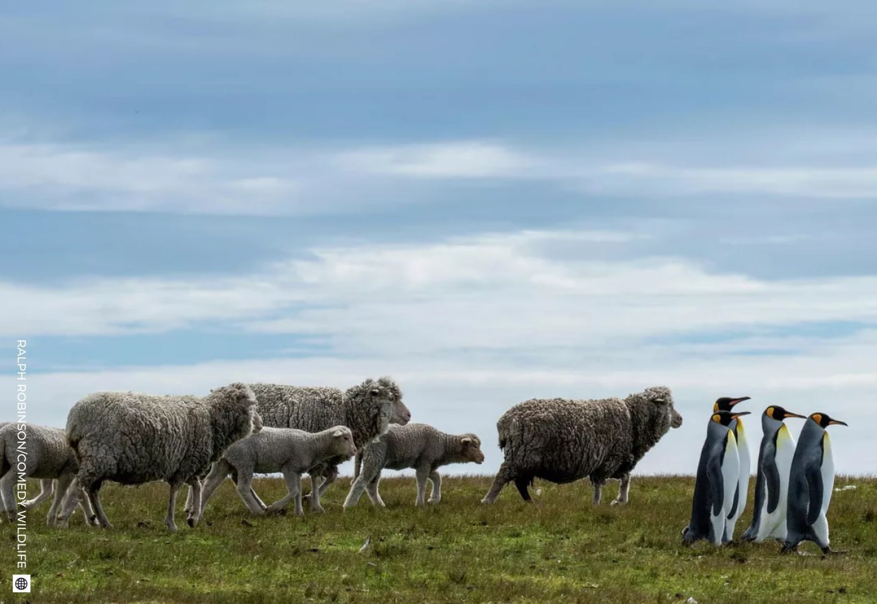 Даже в рабочую субботу найдется место для улыбки! Даже в рабочую субботу найдется место для улыбки!