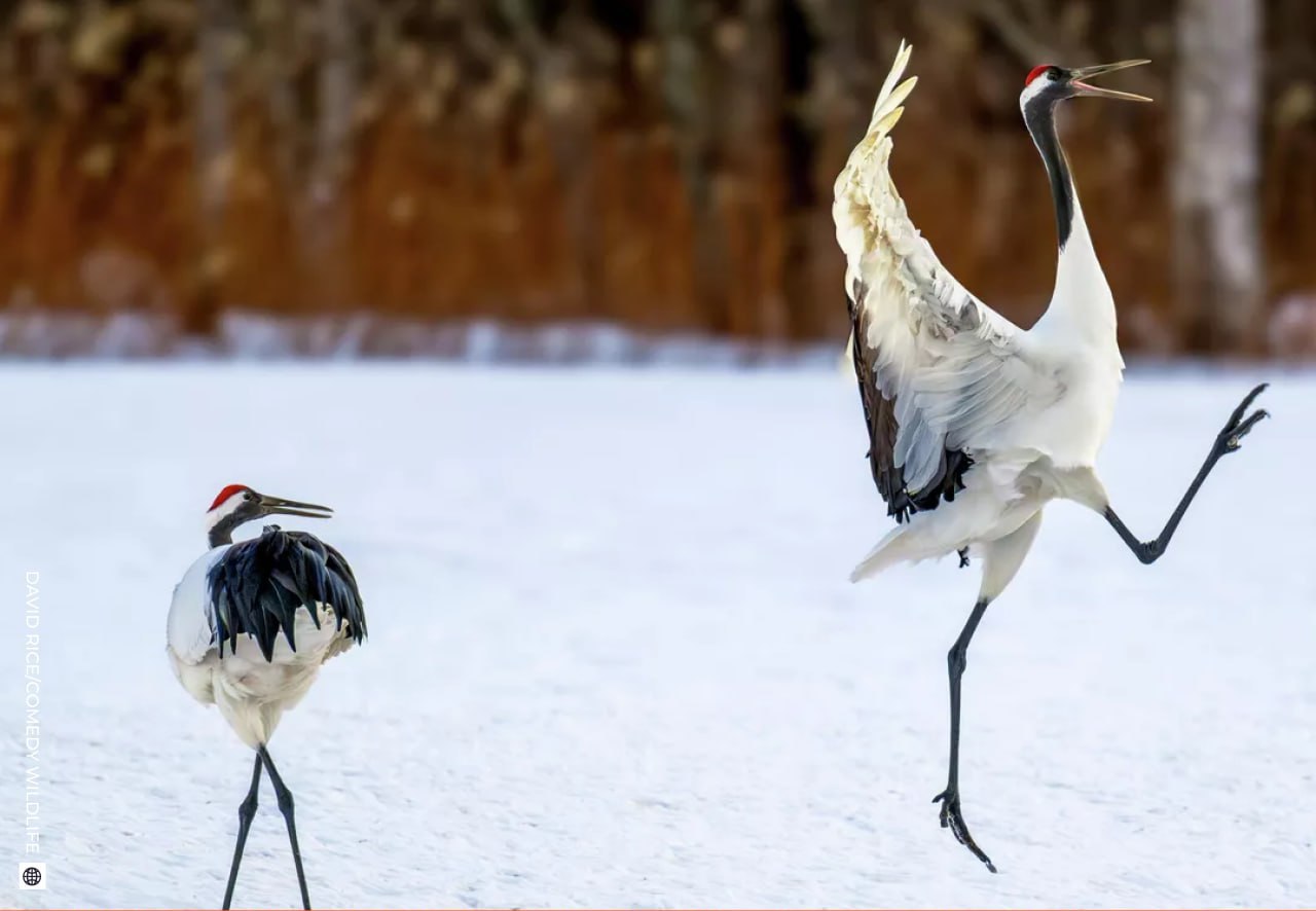 Даже в рабочую субботу найдется место для улыбки! Даже в рабочую субботу найдется место для улыбки!