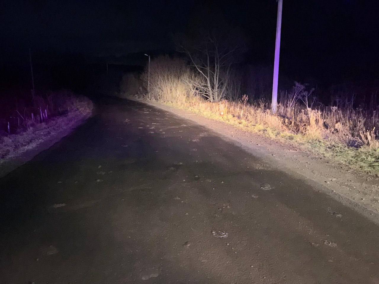 Трагедия случилась вчера вечером в окрестностях села Верх-Карагуж, где 17-летний житель Маймы погиб, перевернувшись на мотоцикле