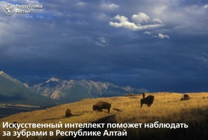 Зубрятник в селе Черга Шебалинского района станет новой территорией проекта по изучению биоразнообразия с использованием искусственного интеллекта