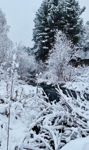 В окрестностях Каракокши тоже сегодня снежок Фото из паблика Чойского района