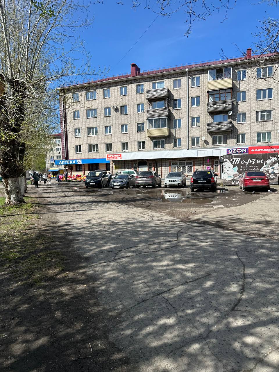 Вместо тополей, срубленных в микрорайоне Жилмассив этой весной, в следующем году высадят пирамидальные тополя – такие, например, хорошо прижились в Сквере семьи, рассказала мэр Ольга Сафронова на прямом эфире Вместо тополей, срубленных в микрорайоне Жилмассив этой весной, в следующем году высадят пирамидальные тополя – такие, например, хорошо прижились в Сквере семьи, рассказала мэр Ольга Сафронова на прямом эфире