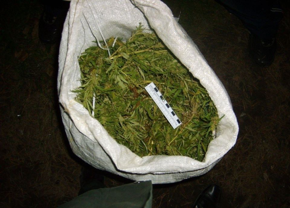 В Усть-Коксинском районе сельчанин предстанет перед судом за незаконное приобретение и хранение наркотических средств