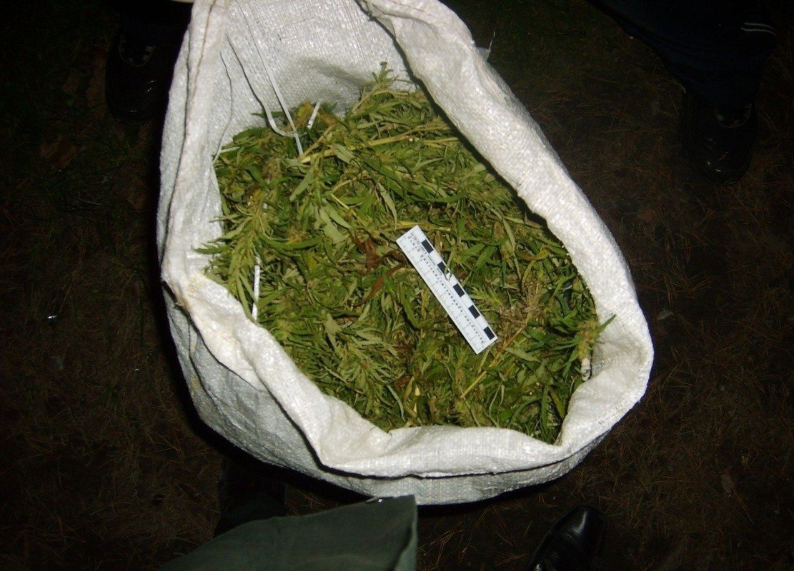 В Усть-Коксинском районе сельчанин предстанет перед судом за незаконное приобретение и хранение наркотических средств