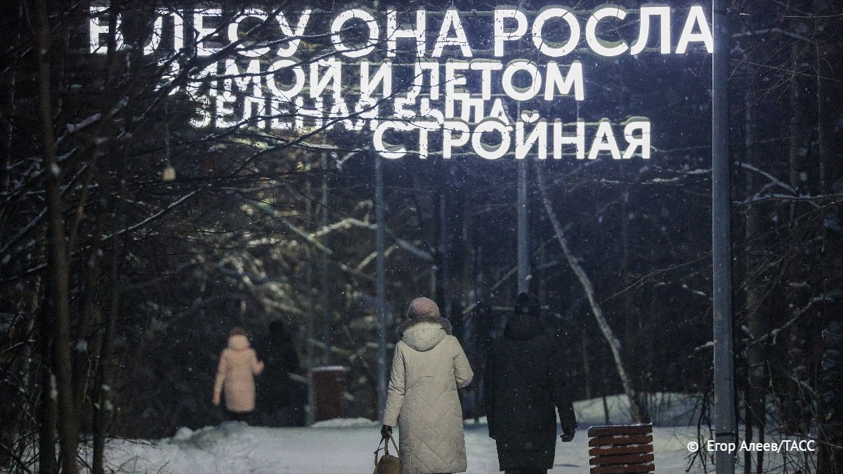 Власти Алтайского края советуют позаботиться о бронировании туров на Новый год заранее из-за высокого спроса, сообщил ТАСС глава управления края по развитию туризма и курортной деятельности Александр Барышников