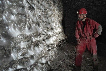 В приграничном регионе Греции обнаружили гигантскую колонию пауков, насчитывающую десятки тысяч особей