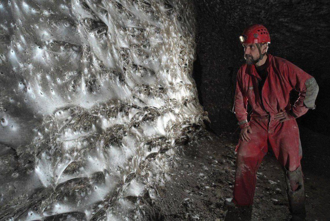 В приграничном регионе Греции обнаружили гигантскую колонию пауков, насчитывающую десятки тысяч особей