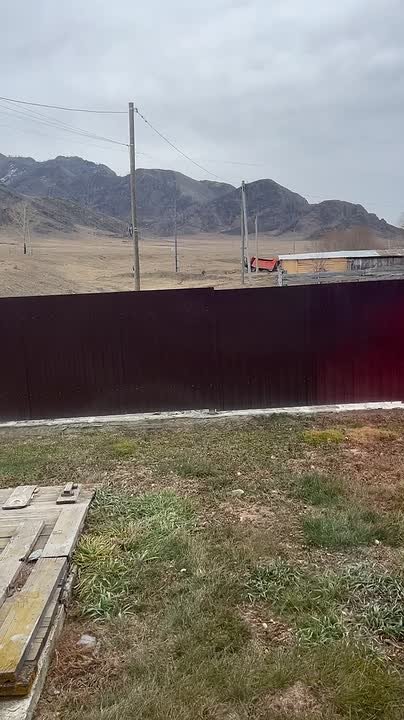 От подписчика. Сегодня утром на повороте в Туекту со стороны Онгудая был сбит конь