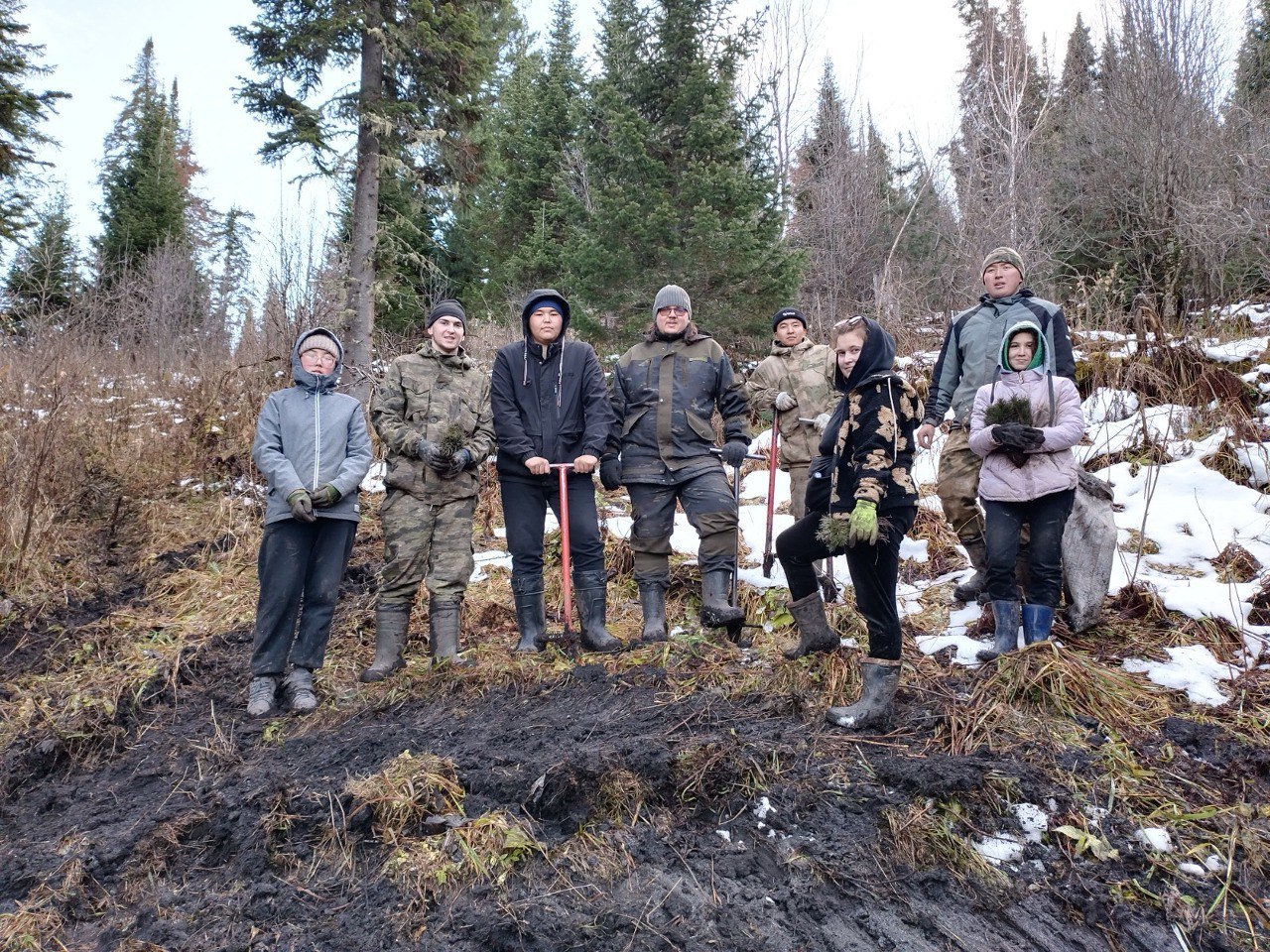 Студенты ГАГУ восстановили 10 гектаров леса в Майминском районе Студенты ГАГУ восстановили 10 гектаров леса в Майминском районе
