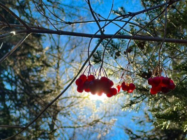 Хорошего дня, Алтай!. Фото: Роман и Татьяна Воробьевы