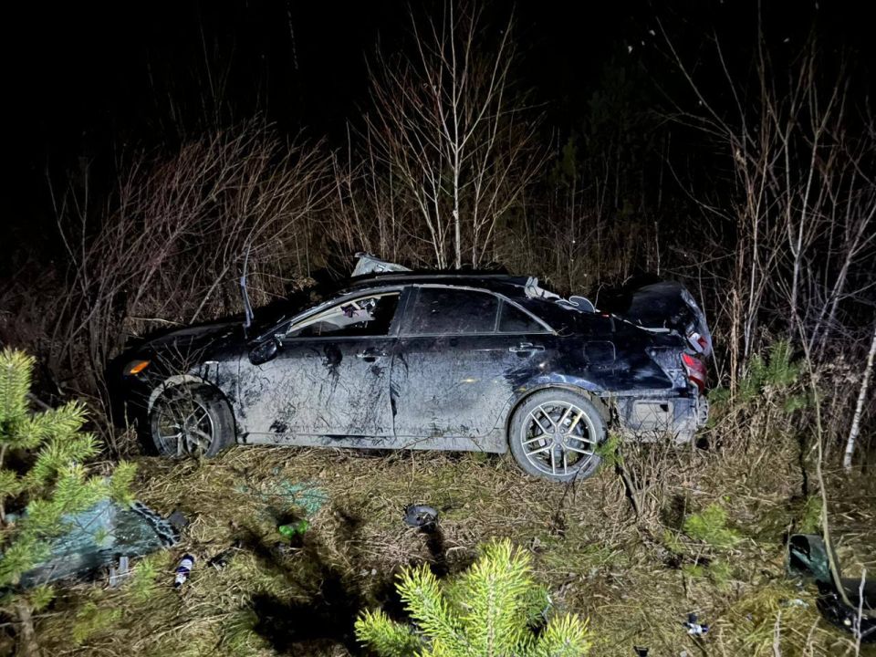 В Шебалинском районе в результате опрокидывания иномарки пострадали 2 человека