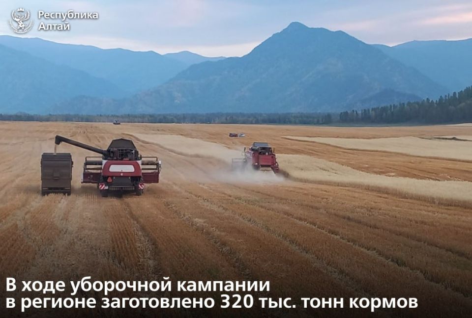 В правительстве рассмотрели итоги кормозаготовительной кампании в Республике Алтай