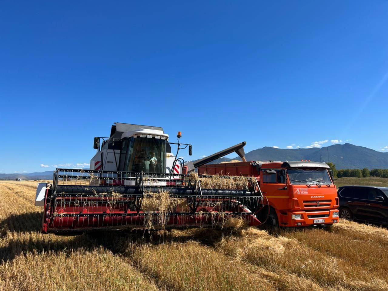 Александр Прокопьев: Итоги кормозаготовительной кампании на 2025 год подведены Александр Прокопьев: Итоги кормозаготовительной кампании на 2025 год подведены