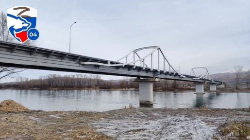 Строительство Платовского моста в графике