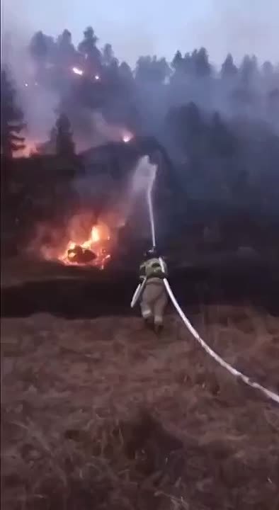 В Чемальском районе в урочище Узюк идет борьба с ландшафтным пожаром
