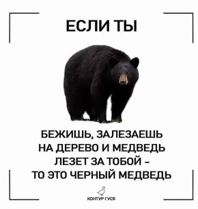 Как отличить медведя?. По профессии: Гризли — грИзёт, бурый — бурит, белый — белеет, а панда — паникует