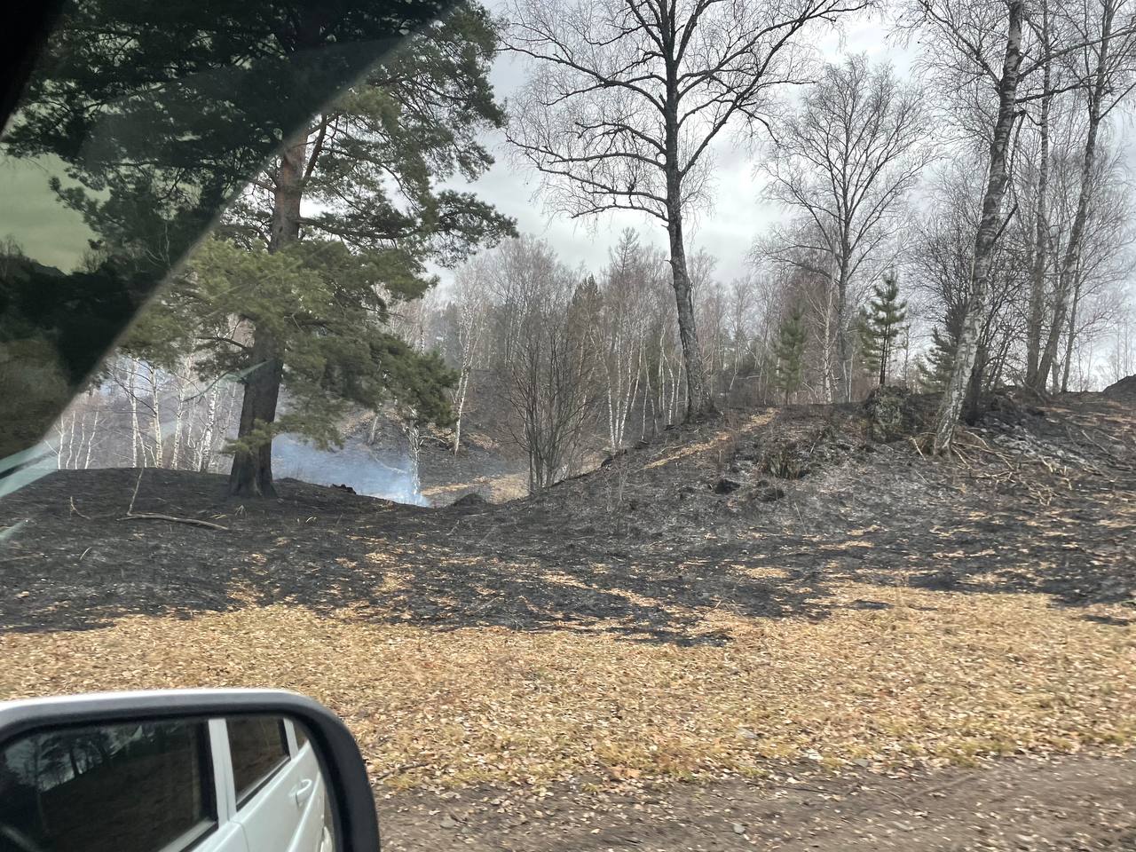 В Чемальском районе в урочище Узюк идет борьба с ландшафтным пожаром В Чемальском районе в урочище Узюк идет борьба с ландшафтным пожаром
