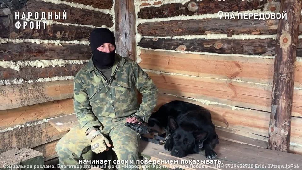  ....     ,    .  1,5 ,       ,  .      &quot;&quot;   .  ...