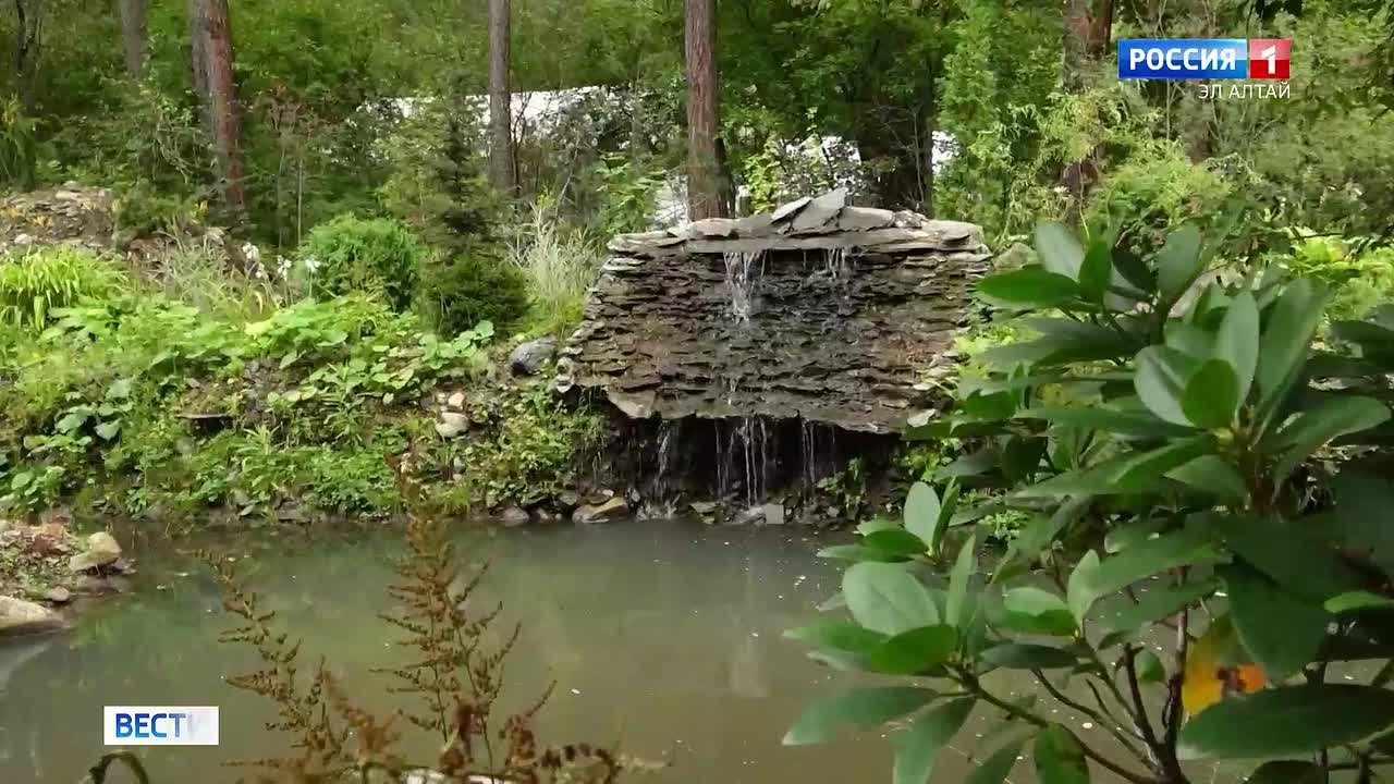 Кино Алтая: "Волки" как импульс креативных индустрий региона