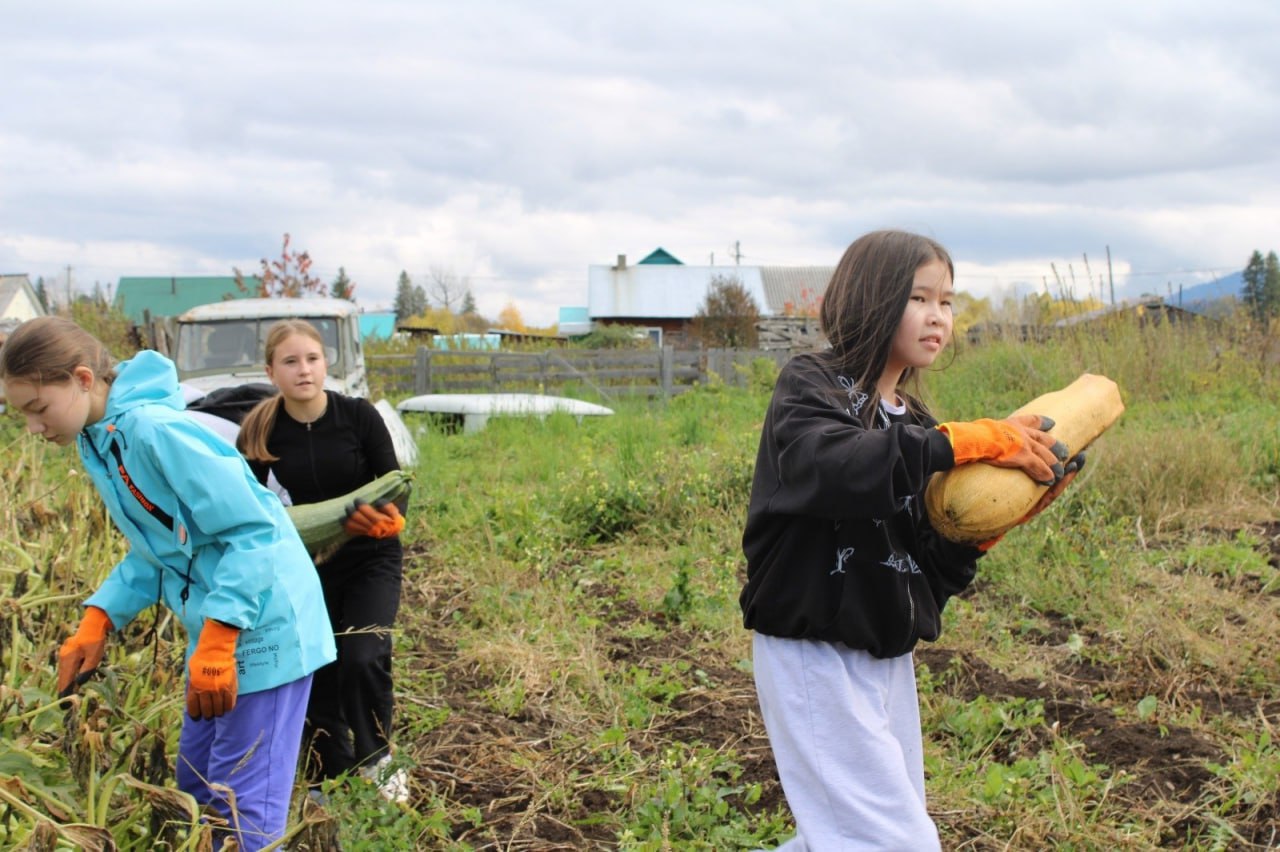 Волонтеры школьного отряда "Добро" Каракокшинской школы им. С.В. Тартыкова помогли семьям участников спецоперации Волонтеры школьного отряда "Добро" Каракокшинской школы им. С.В. Тартыкова помогли семьям участников спецоперации