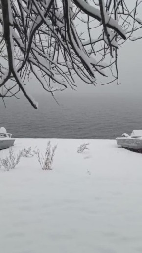 Ноябрь - это время, когда природа замирает, но не засыпает — она шепчет древние легенды сквозь морозный туман и искрящийся иней