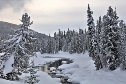 Доброе снежное, друзья!. Фото: Владимир Горбатовский