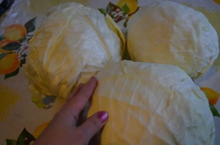 Топ вопросов по садоводству и огородничеству: что волнует дачников в ноябре