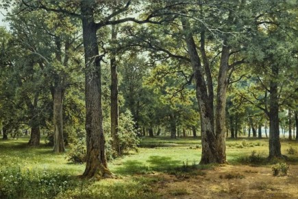 "В заповедной дубовой роще Петра Великого (в Сестрорецке)", 1886