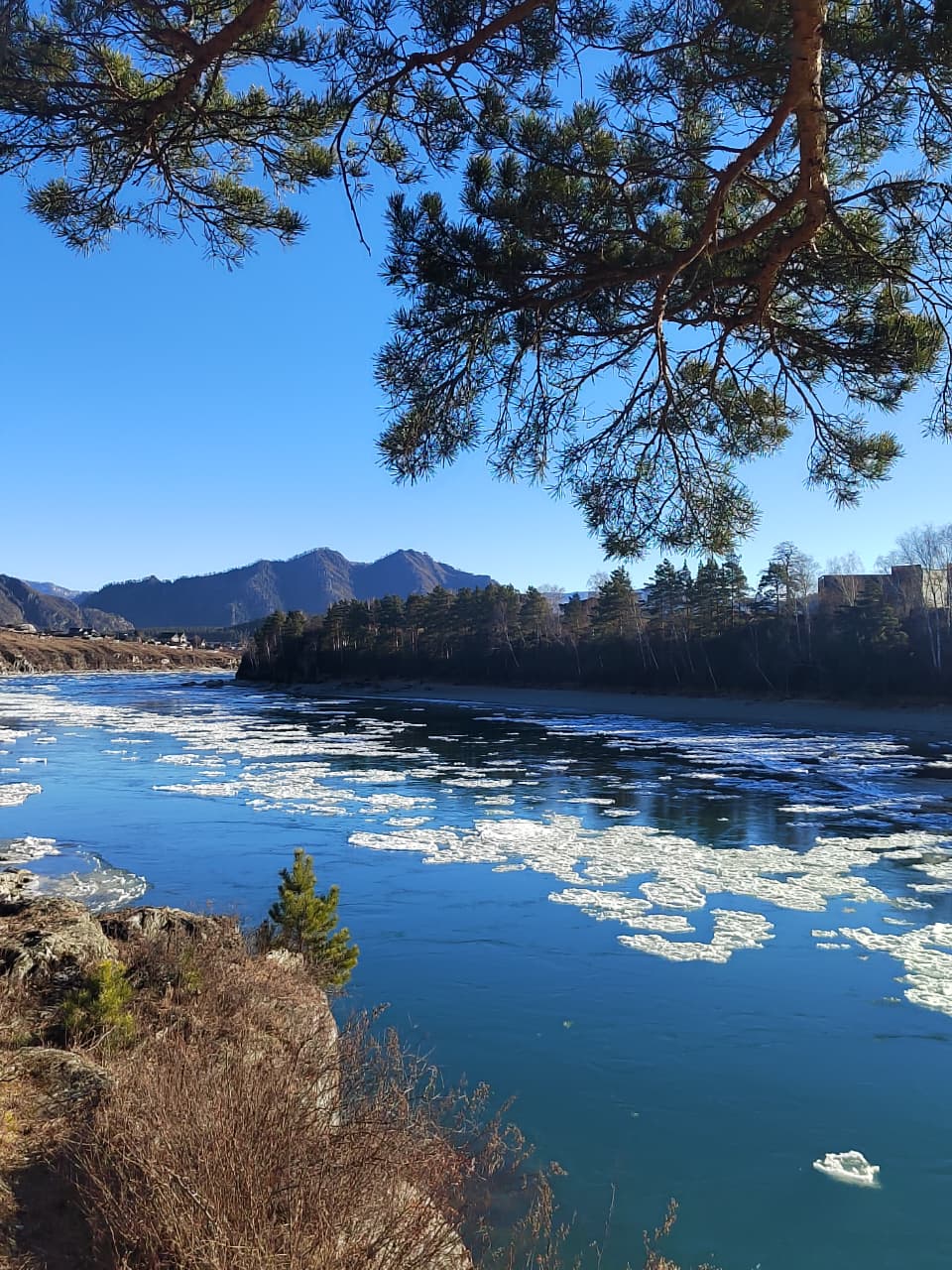Первый лед на Катуни сфотографировала Аза Четвернина Первый лед на Катуни сфотографировала Аза Четвернина
