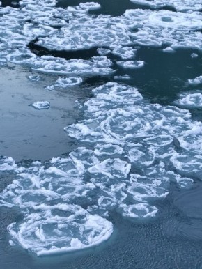 Первый лед на Катуни сфотографировала Аза Четвернина