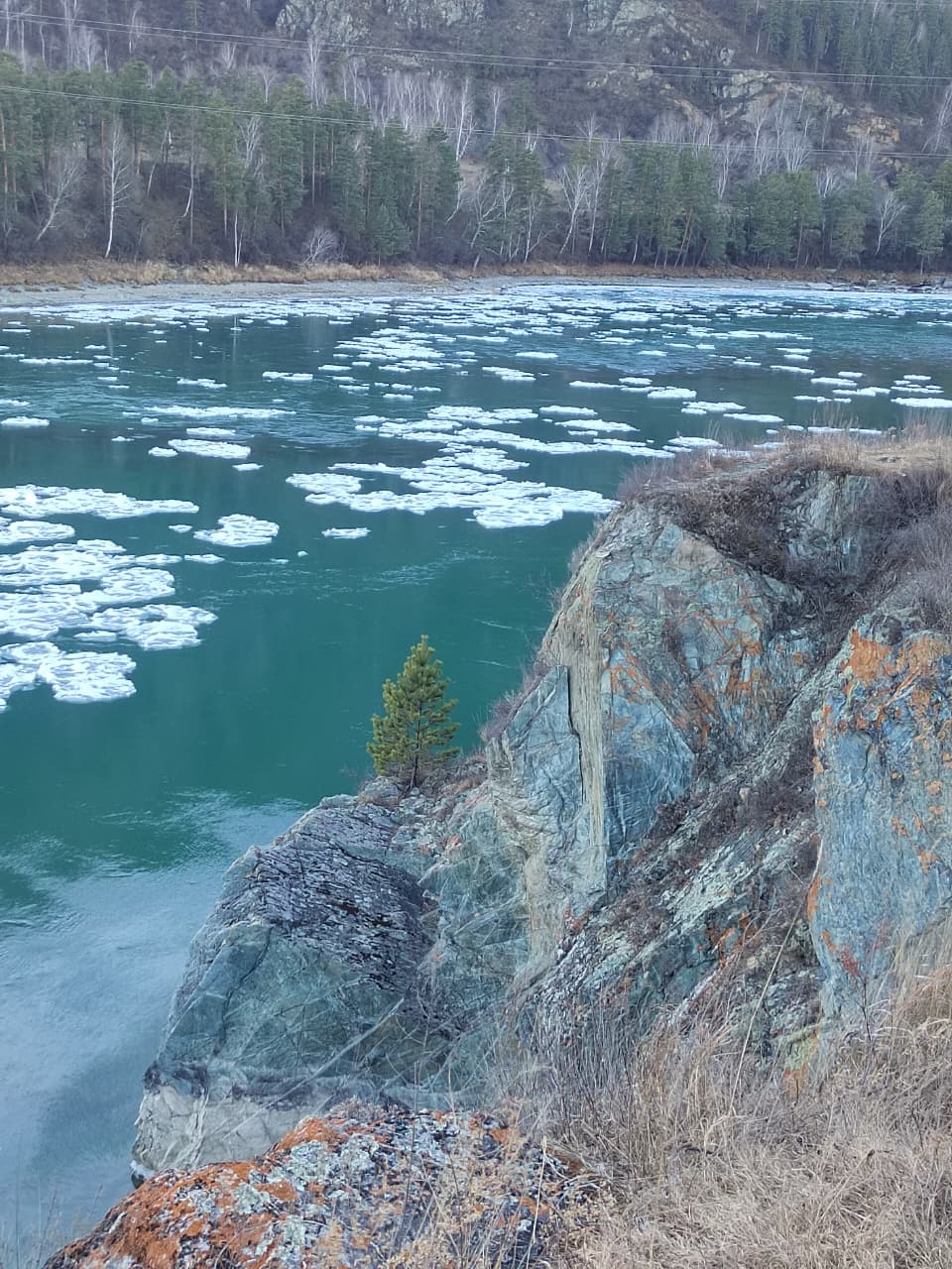 Первый лед на Катуни сфотографировала Аза Четвернина Первый лед на Катуни сфотографировала Аза Четвернина